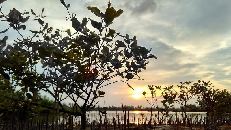 Gampong Reudeup Beach (Pantai Wisata Gampong Reudeup)