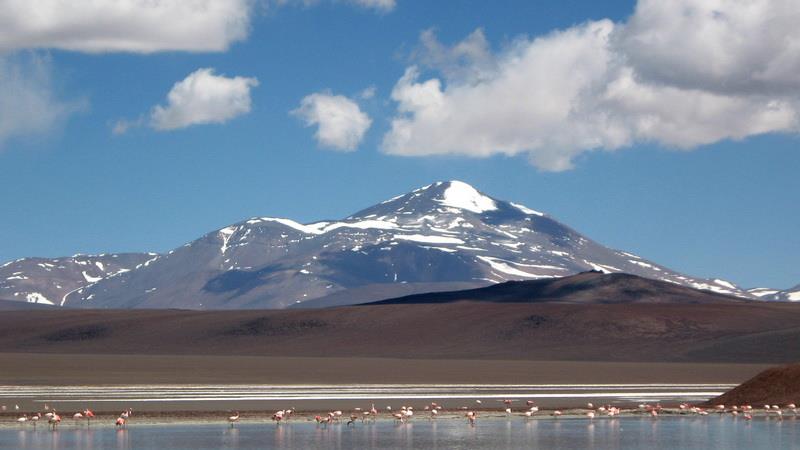 Laguna Brava (Reserva Provincial Laguna Brava)