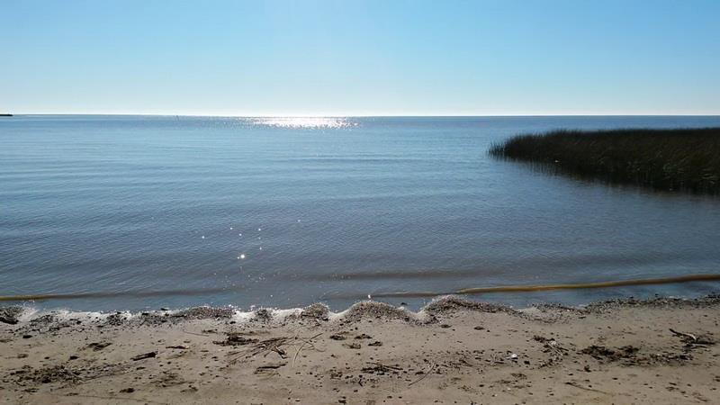 Balneario El Pericon (Balneario El Pericón)