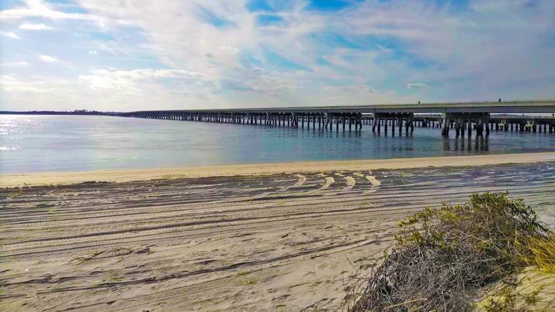 Amelia Island State Park (Amelia Island Beach)