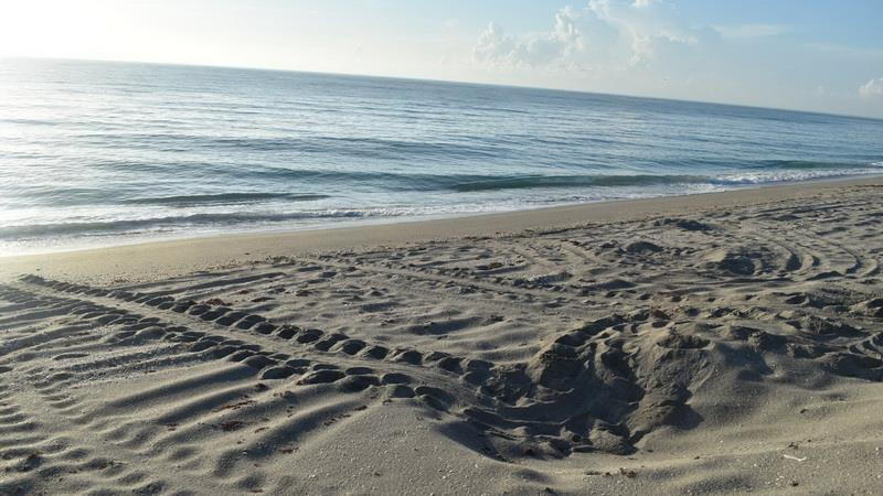 Blowing Rocks Preserve