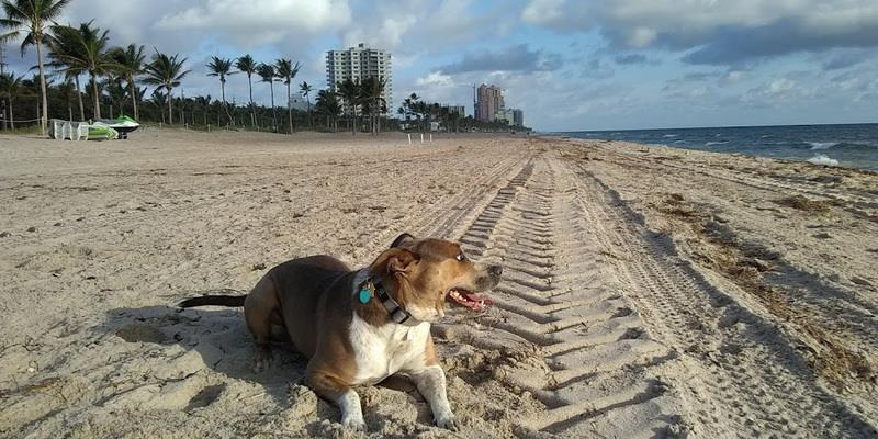 Fort Lauderdale, Florida, United States