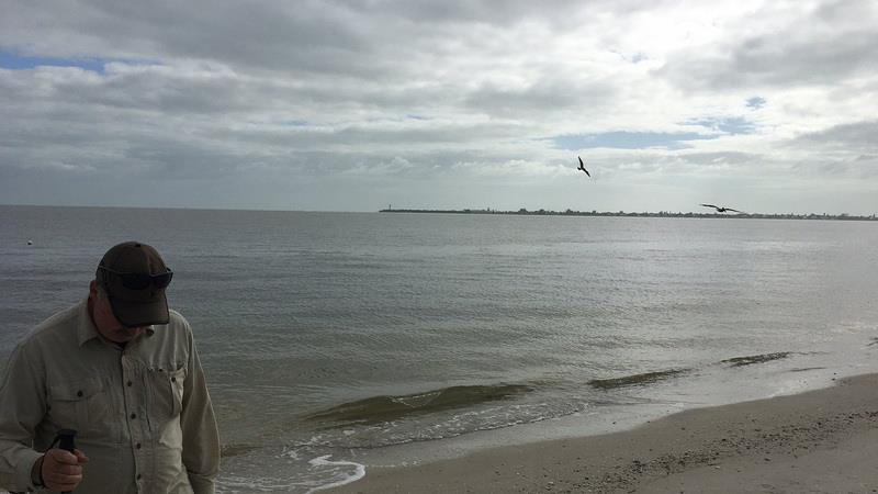 Causeway Islands Park - Island A