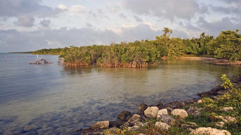 Biscayne National Park (Key Largo)