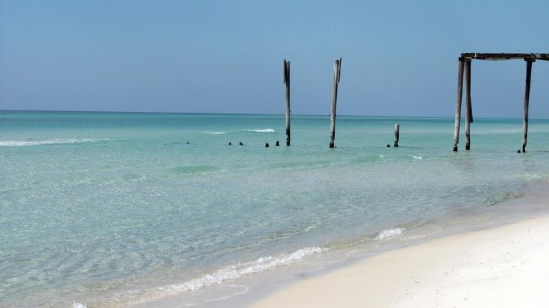 Camp Helen State Park Beach