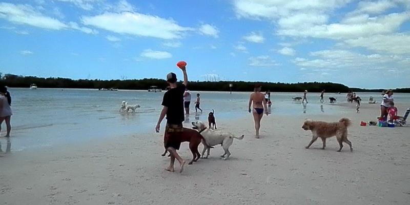 Fort Lauderdale, Florida, United States