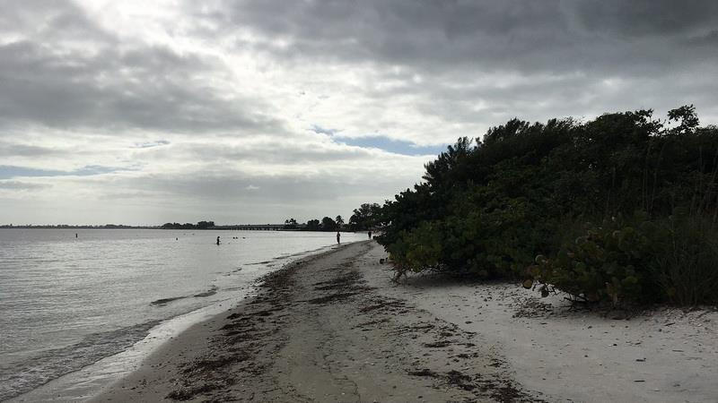 Causeway Islands Park - Island B