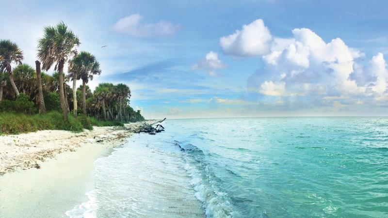 Cayo Costa State Park