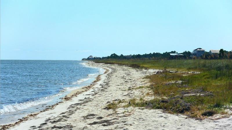 Alligator Point (The Point, Alligator Harbor)