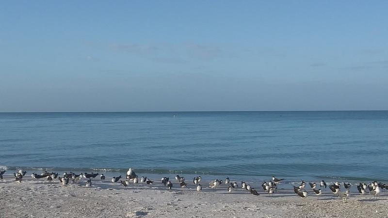 Coquina Gulfside Park (Bradenton Beach)