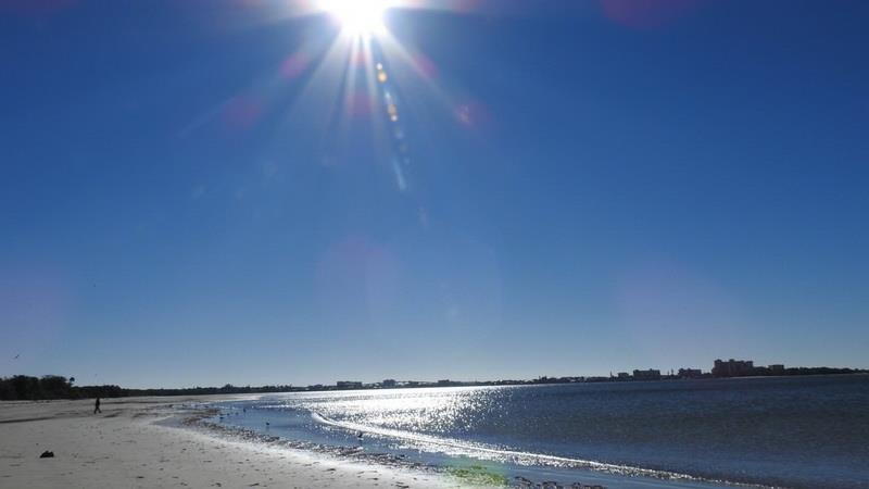 Bunche Beach Preserve (San Carlos Bay / Bunche Beach Preserve)