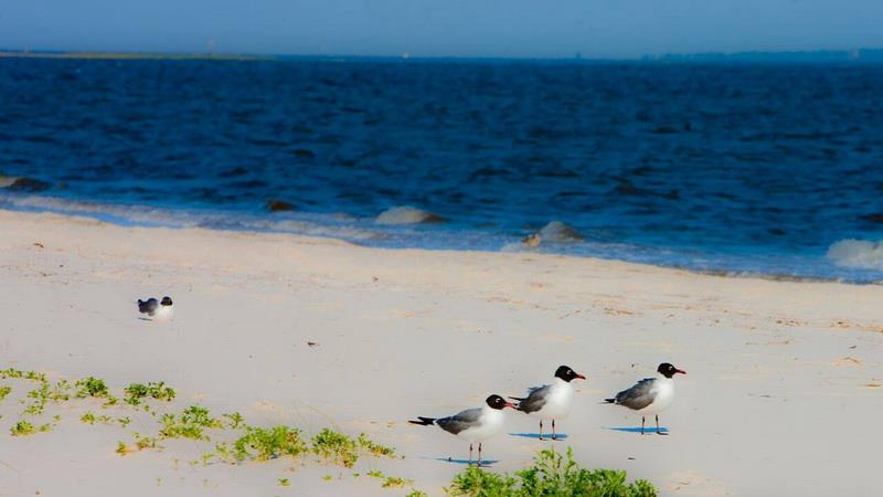 Carraballe Beach (Carrabelle Beach RV Resort)