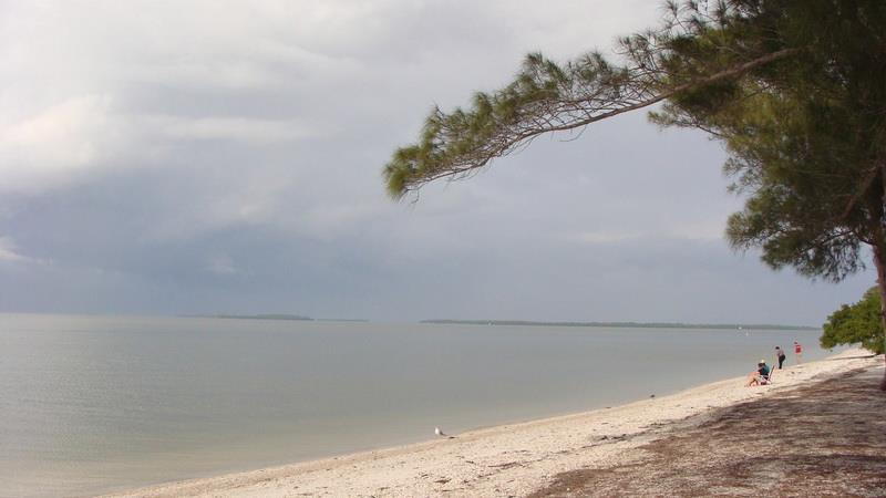 Causeway Islands Park - Island B