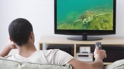 News Talkshows, Sports, and Entertainment