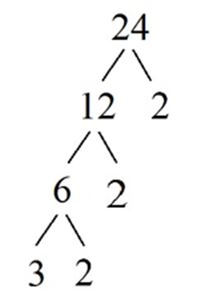 Prime Factorization