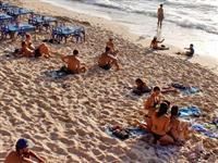 Group Sunbathing Indonesia