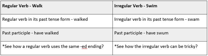 Regular Verb