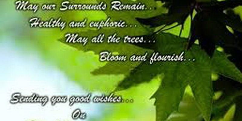 Essay On Environment